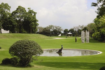🏞️ 클레마티스의 언덕 (크레마치스노오카) 이미지 2